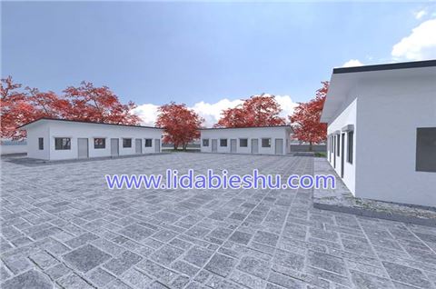非洲住房-中式风格-1层-60㎡